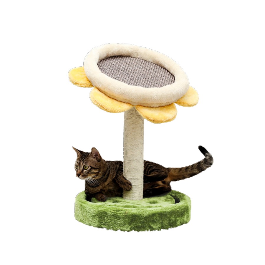 Laser Kitty multi-support pour chats - Petits Compagnons