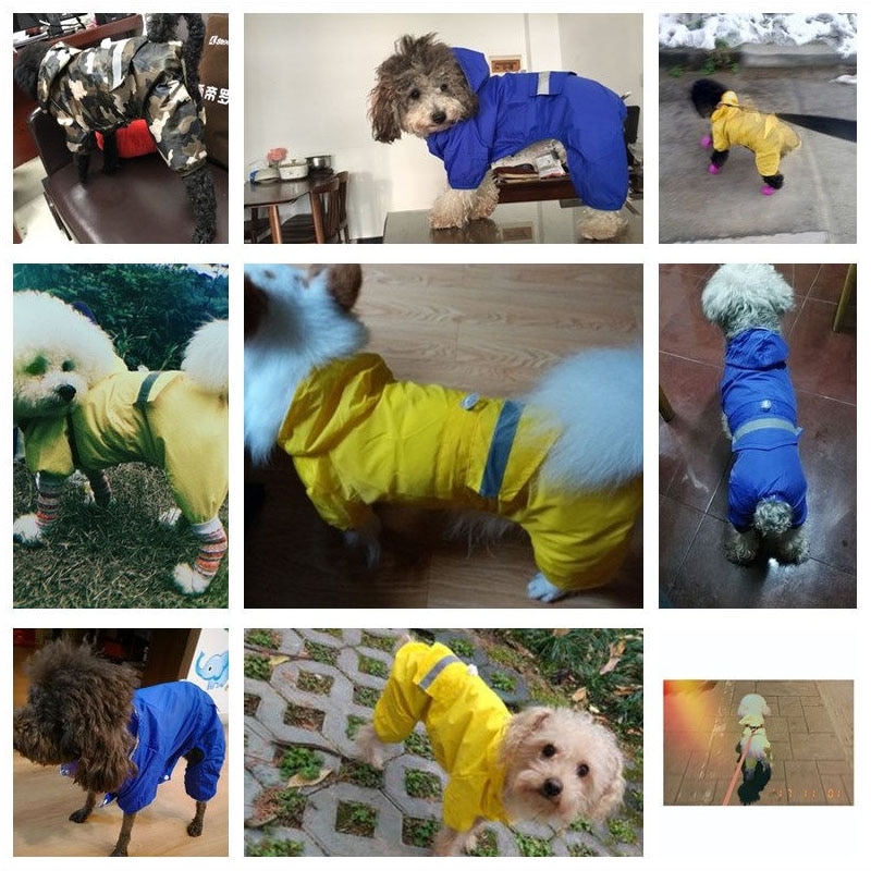Manteau-impermeable-capuche-pour-chien-chat-Animal-de-compagnie-k-way-reflechissant-Manteau-de-pluie-pas-cher