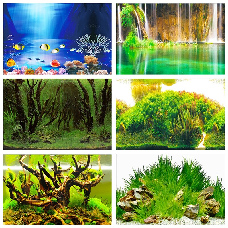 Poster-pour-aquarium-Poster-fond-aquarium-Poster-3d-aquarium-Poster-pour-terrarium