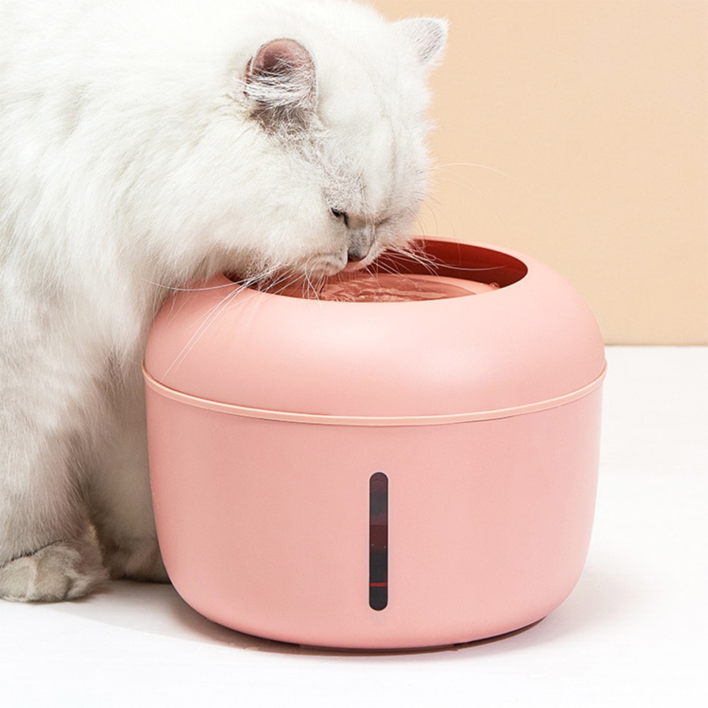Acheter Fontaine à eau automatique pour chat de compagnie, pompe  silencieuse, adaptateur d'alimentation