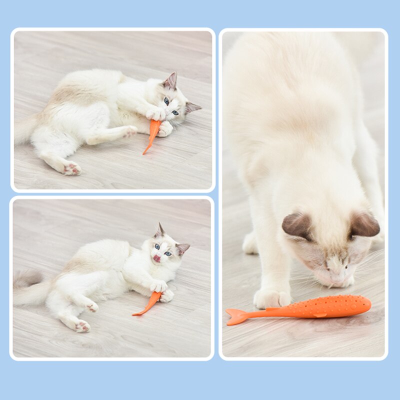 Jouet-catnip-Jouet-dentaire-chat-Jouet-cataire-Brosse-a-dent-chat