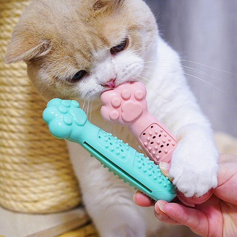 Jouet-catnip-Jouet-dentaire-chat-Jouet-cataire-Brosse-a-dent-chat