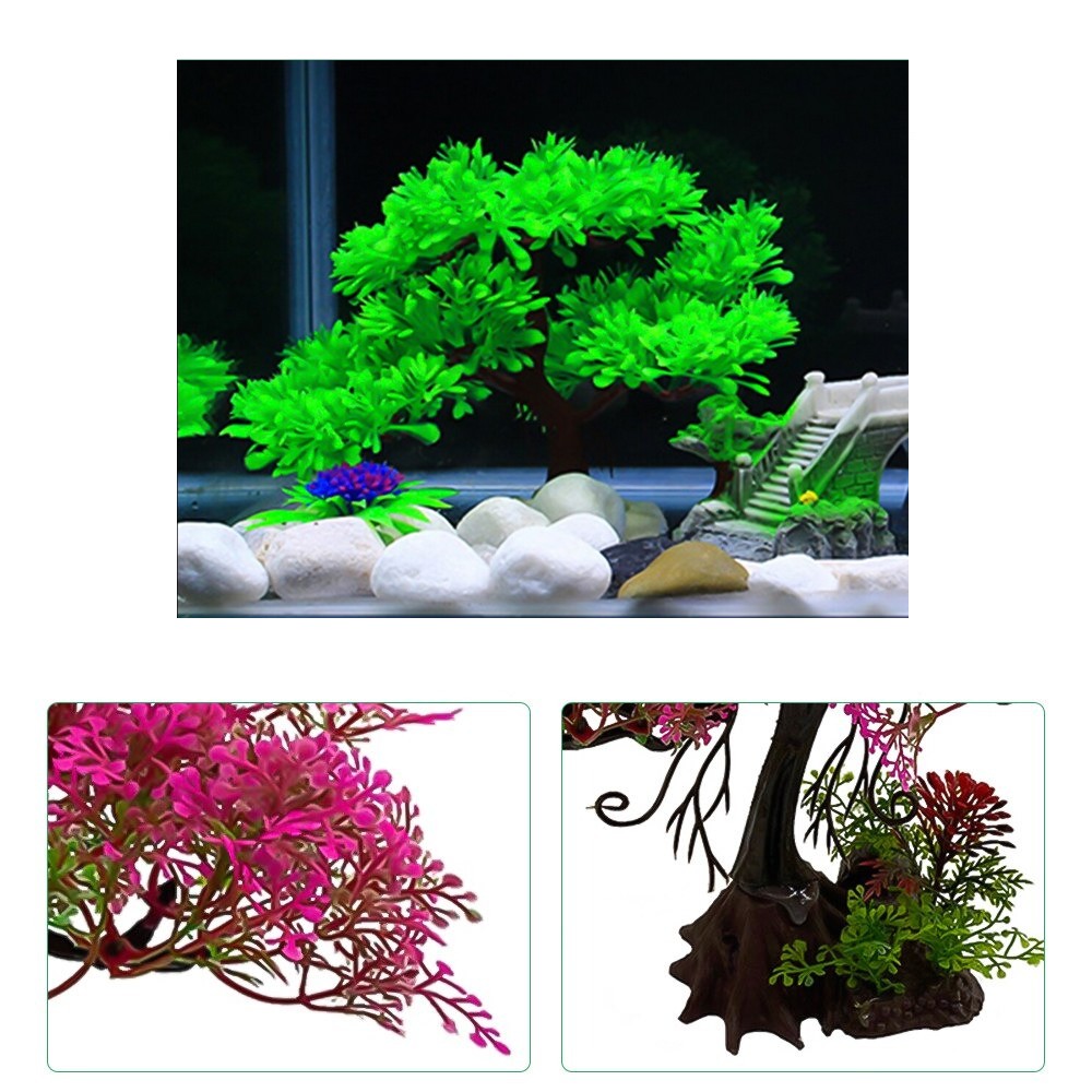 Bonsai-aquarium-Arbre-aquarium-Bonsai-hardscape-Bonsai-aquascaping