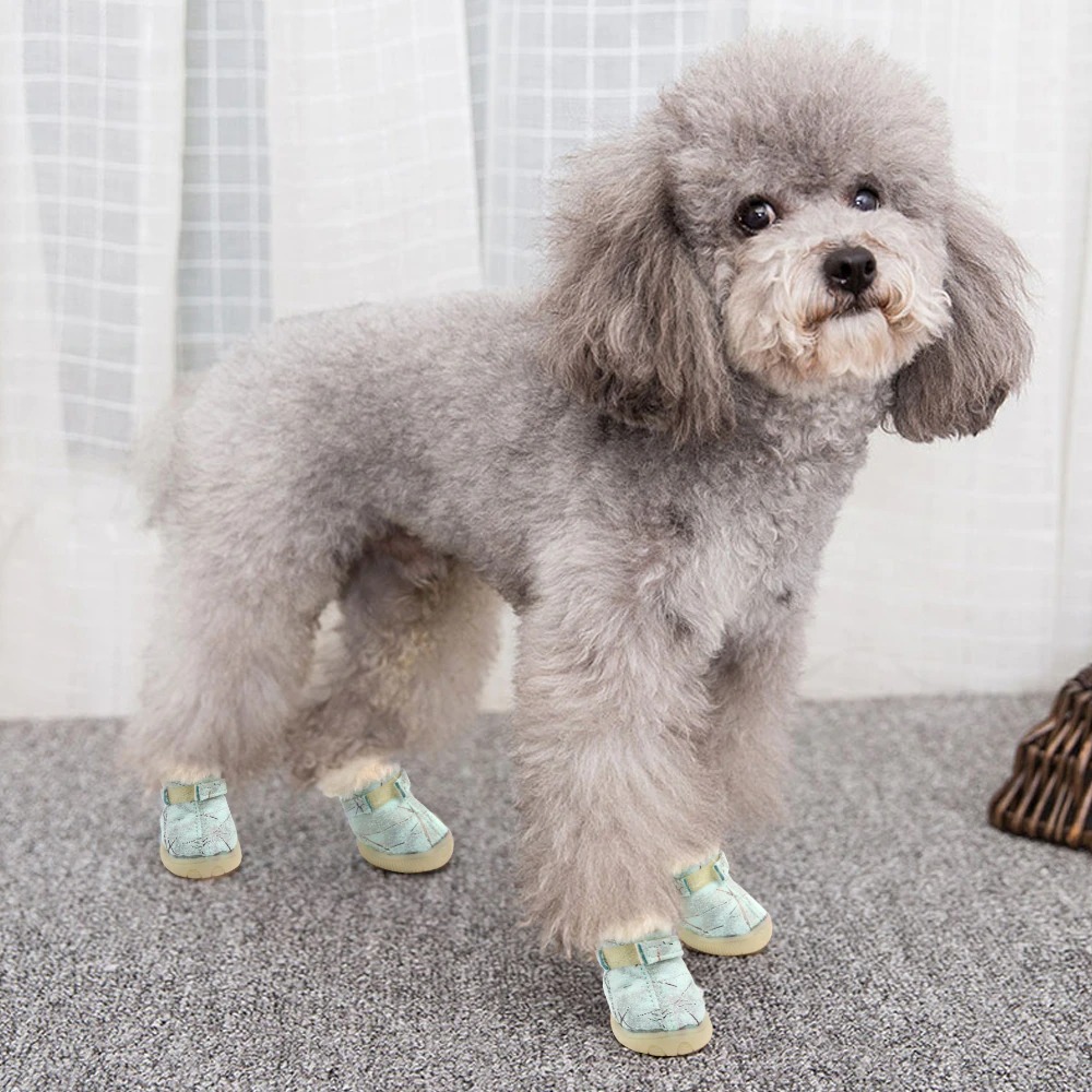 Bottes de pluie pour chiens - Petits Compagnons