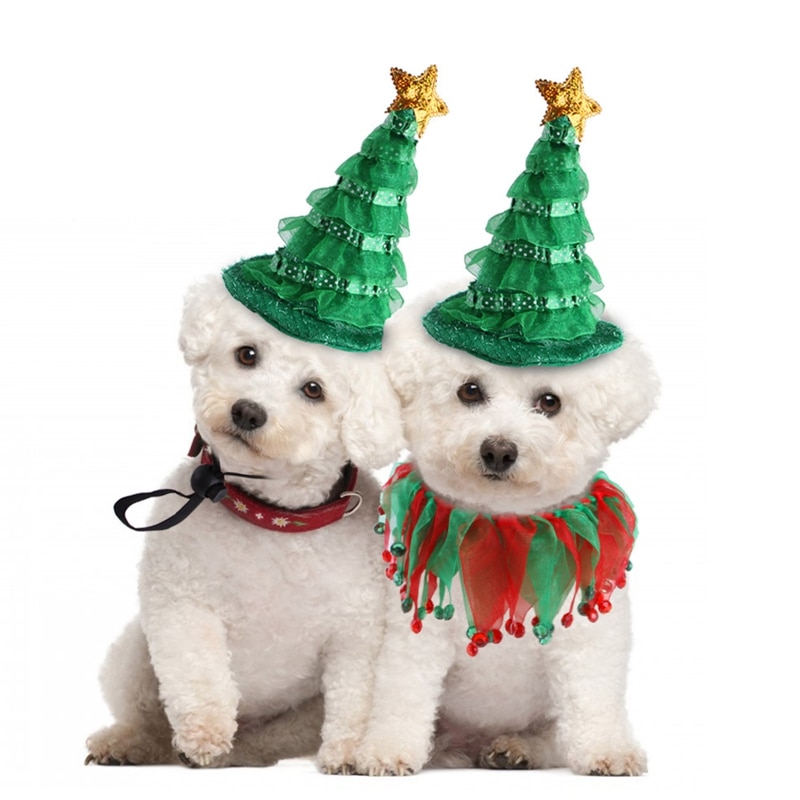 Déguisement Père Noël pour chiens et chats - Petits Compagnons