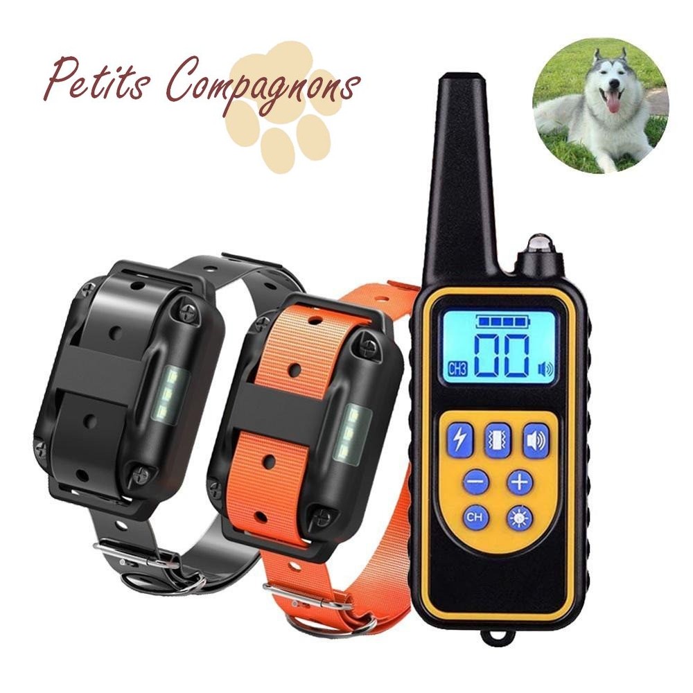 Collier-dressage-chien-Collier-electrique-chien-Collier-de-dressage-rechargeable