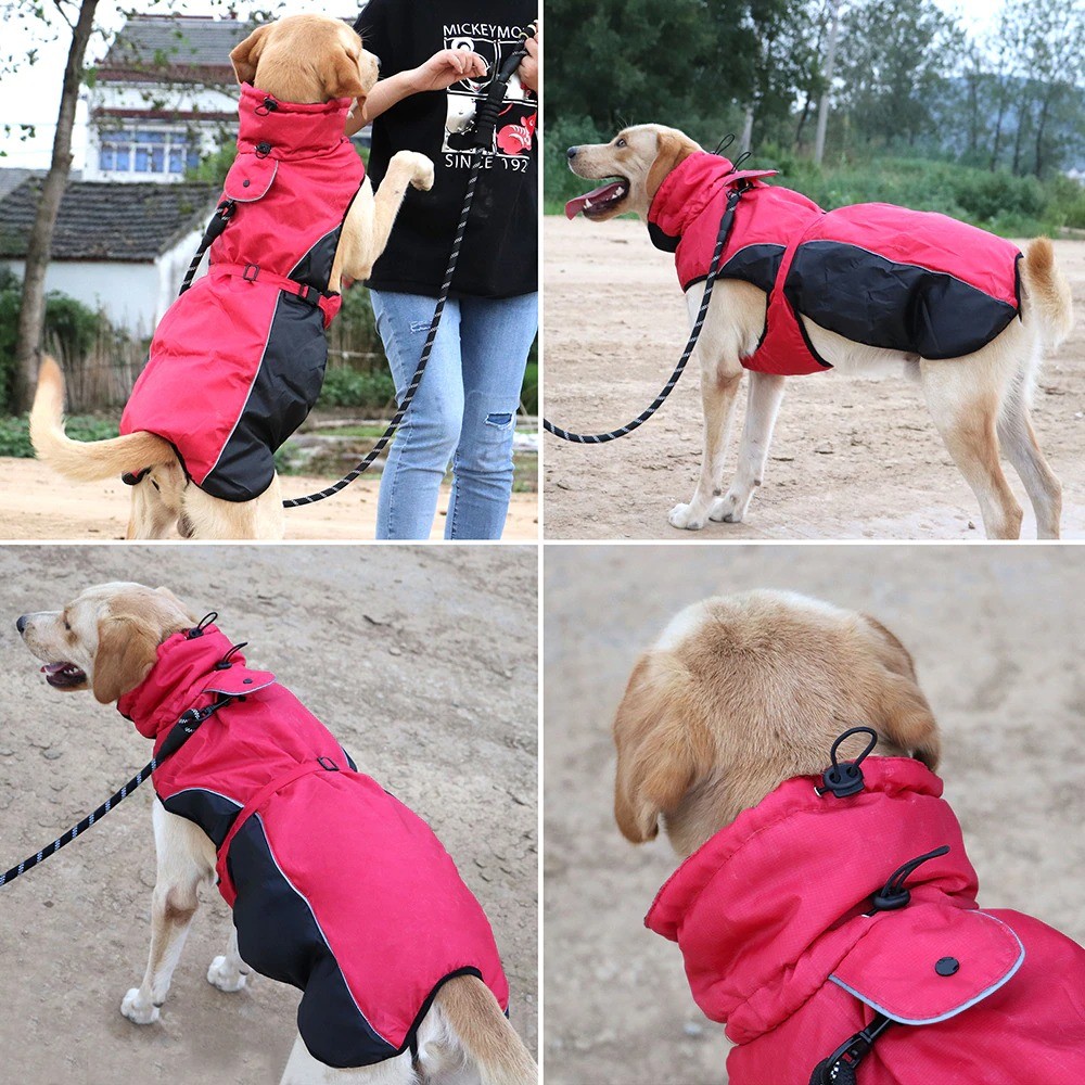 Manteau imperméable grandes tailles pour chiens-Petits Compagnons