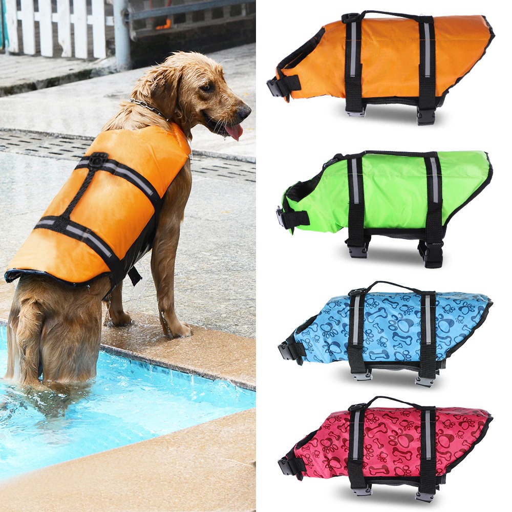 gilet de baignade pour chien