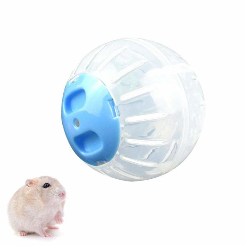 RoadLoo Balle Hamster 2Pcs12cm Plastique Hamster Fitness Ball Portatif Transparent Hamster Mini Ballon Nouvelle Exercice Sain Sûr Ballon Courant Petits Animaux Jouet Nouer pour Hamster Rat Gerbille 
