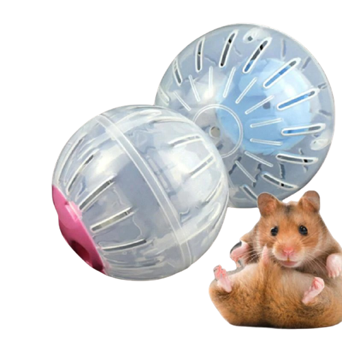 Jouet-pour-hamster-Roue-pour-hamster-Boule-pour-hamster-Jouet-pour-rongeur-Balle-d’exercice