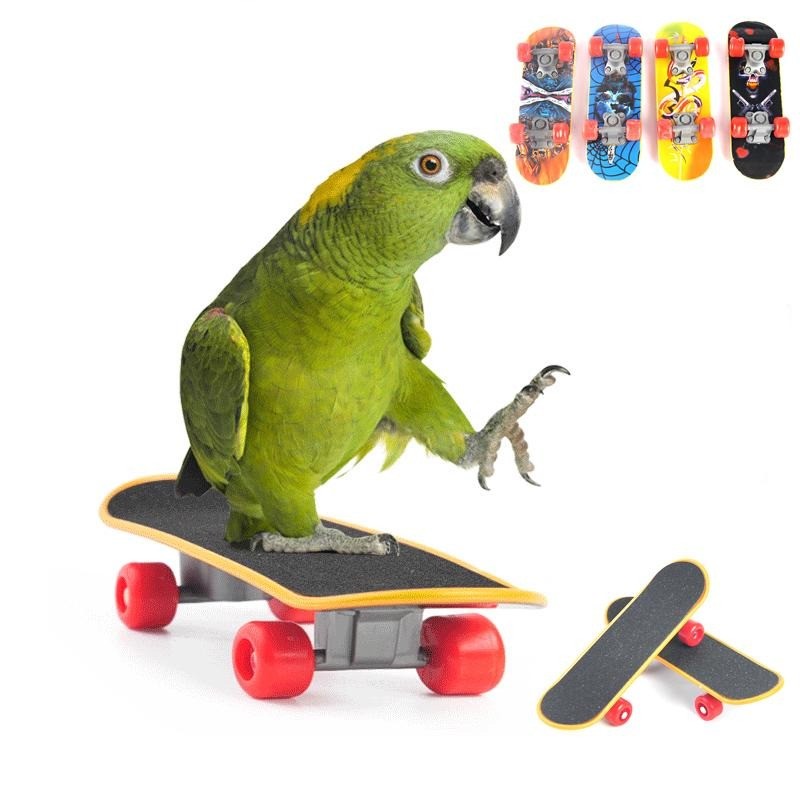 Skateboard-pour-oiseaux-Planche-a-roulettes-pour-oiseau-Planche-skate-pour-oiseaux