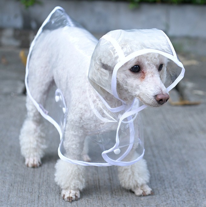Impermeable-pour-chien-Veste-a-capuche-pour-chien-Vetement—de-pluie-transparent-chien