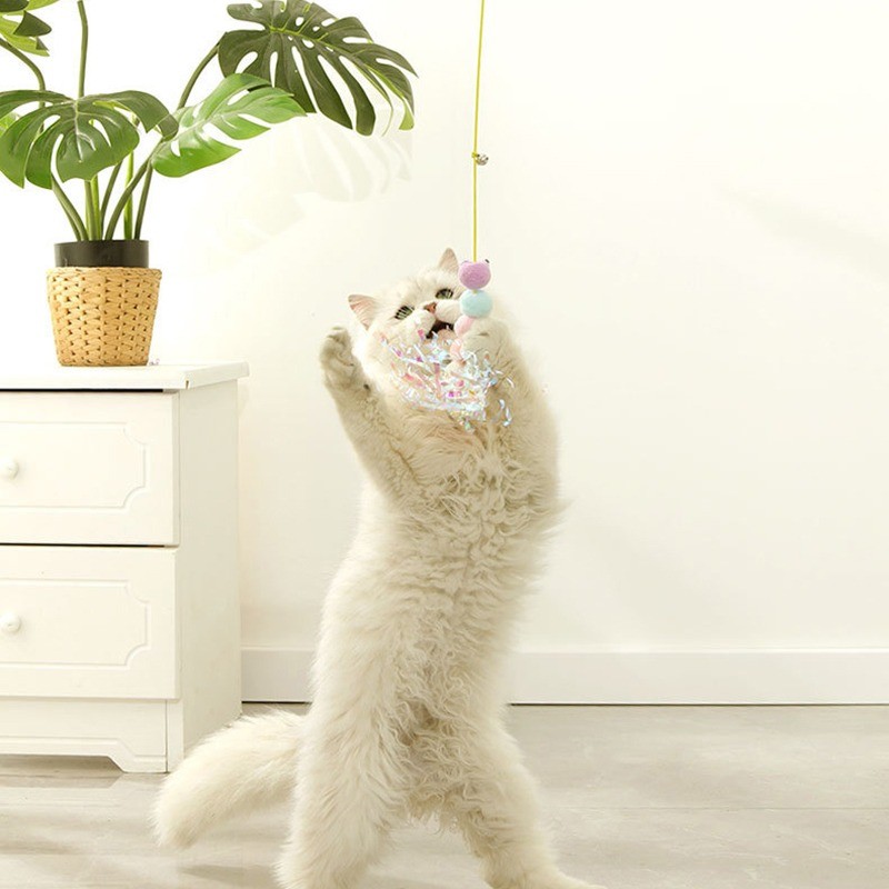 Jouet-herbe-a-chat-Jouet-a-suspendre-pour-chat-Jouet-catnip pour-chat-d-appartement