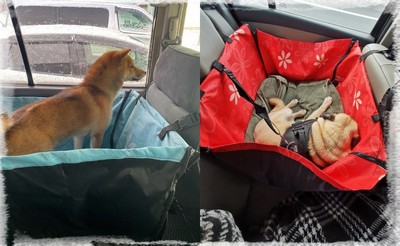 GABRIELLE Housse de siège de voiture pour chien pour siège arrière