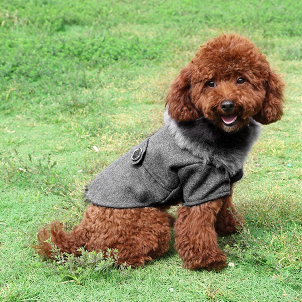 Manteau de Luxe pour chien - Manteau pour chien en jean