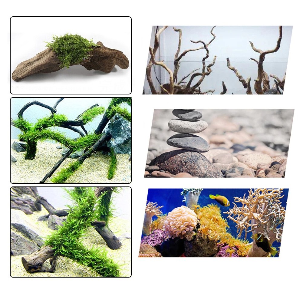 Colle-non-toxique-aquarium-Colle-plante-aquarium-Colle-transparente-aquarium-