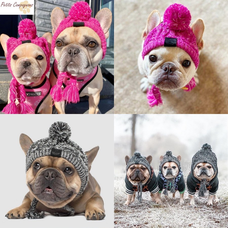 Bonnet-pompon-chien-et-chat