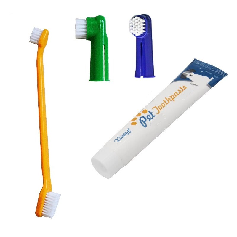 Kit 3 brosses à dents et dentifrice