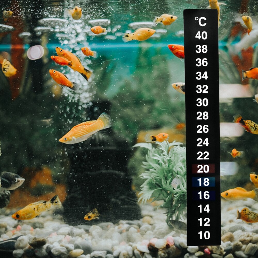 Thermometre-aquarium-Thermometre-digital-aquarium-Thermometre-adhesif-aquarium-Thermometre-aquarium-precis