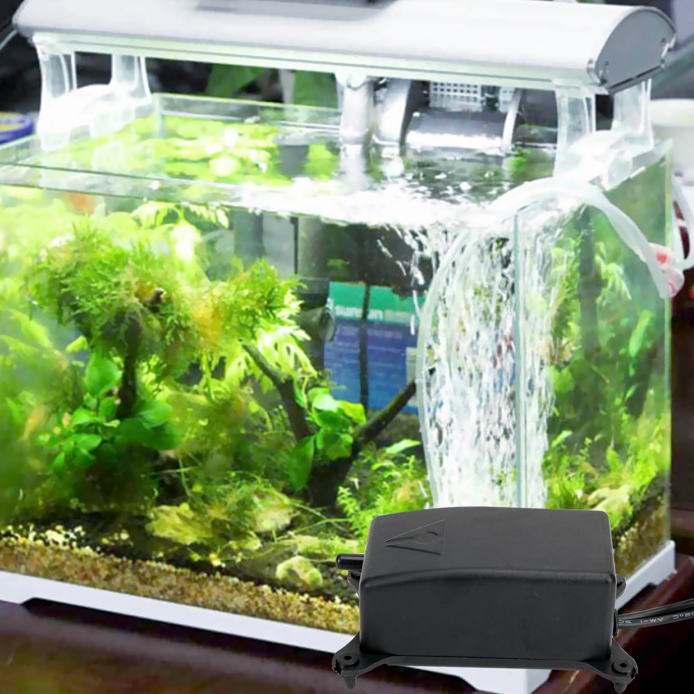 Petite pompe à air silencieuse 2 sorties pour aquarium discount