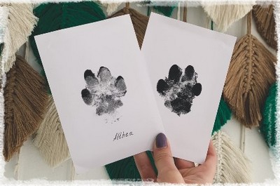 KCRasan Kit d'empreintes de pattes de chien – Cadre photo commémoratif avec  empreintes de pattes – Kit d'empreintes de pattes de chien ou de chat