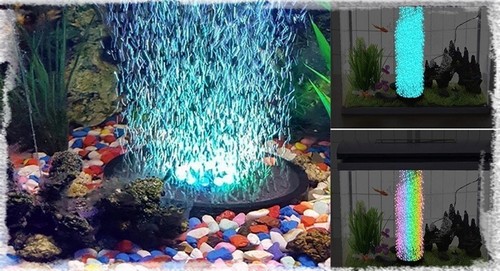 Contrôleur LED pour aquarium & terrarium - Petits Compagnons