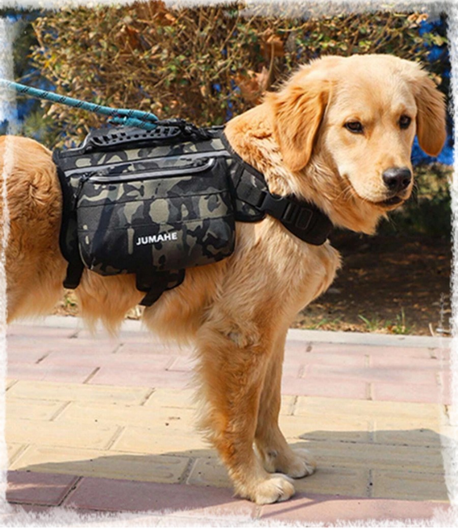 Harnais et Laisse Tactique pour chien avec Poignée Anti-traction Militaire  M-XL