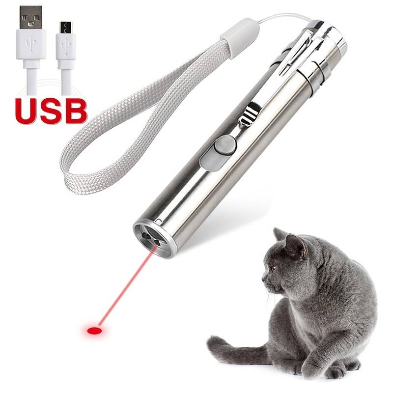 Stylo laser rechargeable USB pour chats - Petits Compagnons