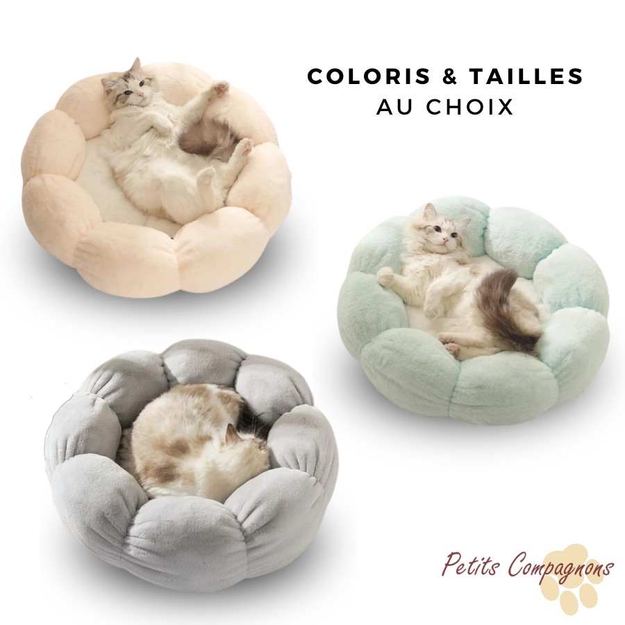 Lit pour chien Couchage pour chat Lit pour chat Peluche Coussin