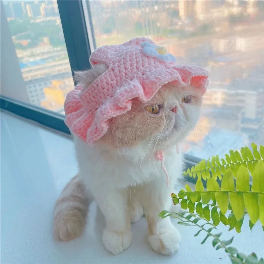 Bonnet-laine-pour-chien-Bonnet-en-tricot-pour-chat-Bonnet-chic-pour-animaux-de-compagnie