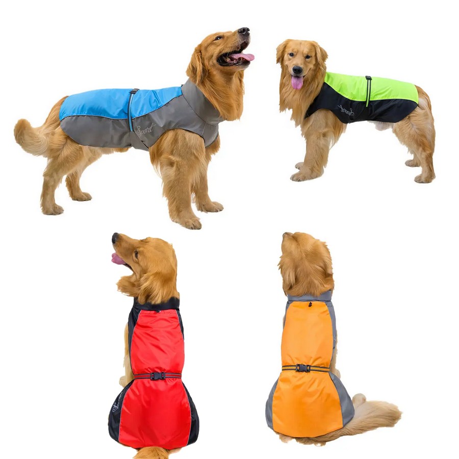 Manteau chien grande taille sale