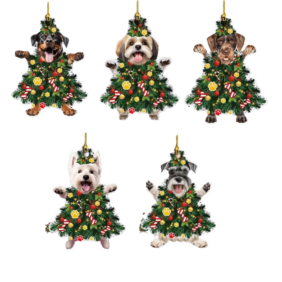 Sapin canins