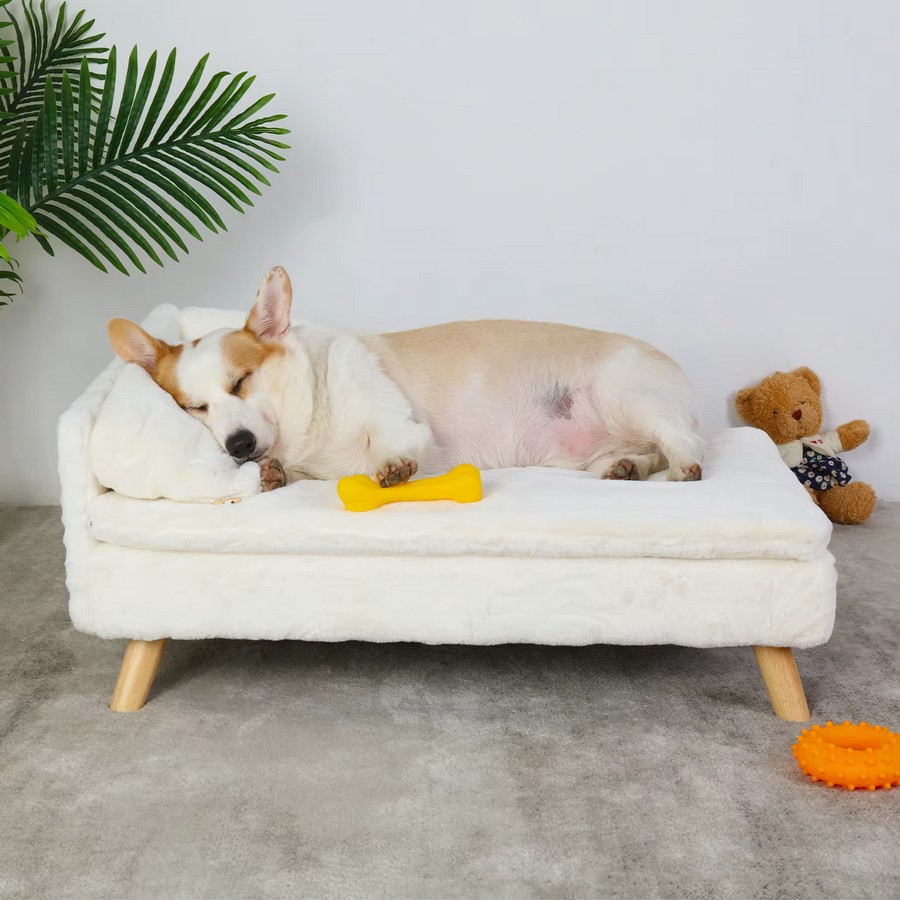 Canape-sur-pied-pour-chien