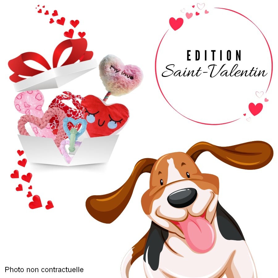 Boite surprise Saint Valentin
