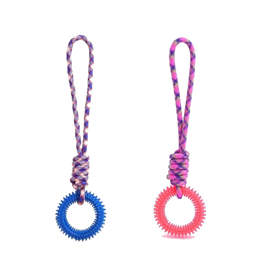 Corde à anneau