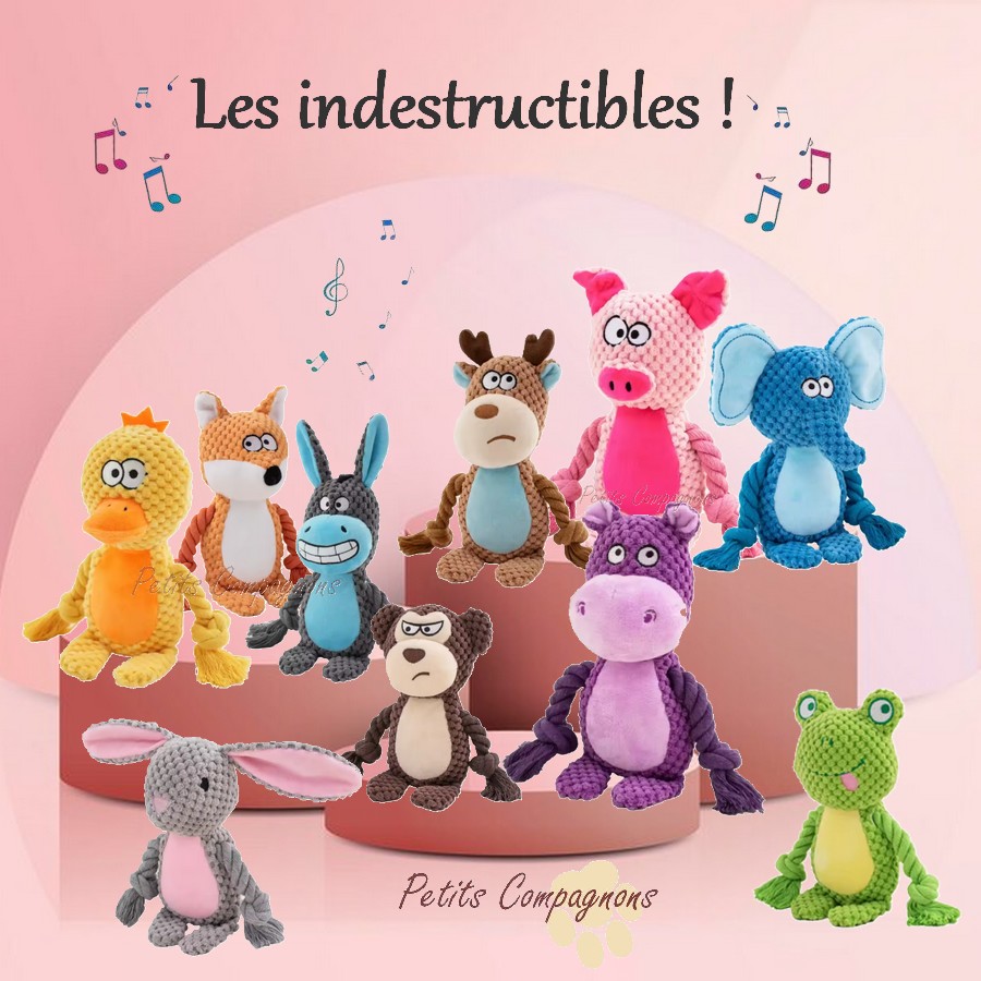 De drôles de peluches indestructibles pour chien Petits Compagnon