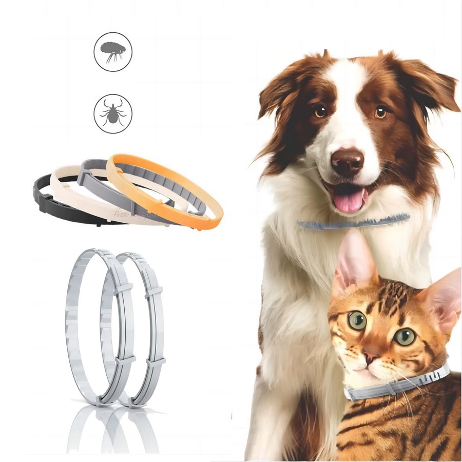 collier-antipuces-tiques-chien-chat