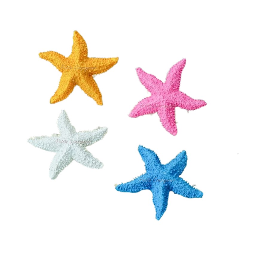 Étoile de Mer en Résine