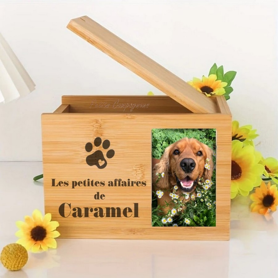 Boite-personnalisee-pour-souvenirs-chien-Coffret-personnalisable-souvenirs-chat-Coffre-bois-a-personnaliser-souvenirs-animaux