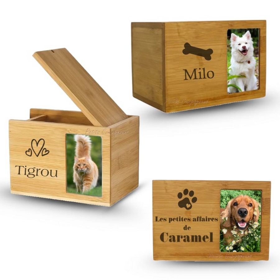 Boîte Souvenir En Bois Pour Poils D'animaux De Compagnie, Boîte Commémorative Pour Poils De Chien Et Chat, Boîte Souvenir Sculptée, Boîte à Dents De Chien Gravée Avec Couvercle Pour Les Amoureux Des