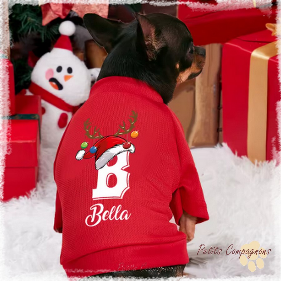 Sweat de Noël personnalisé