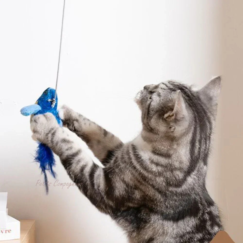 Jouet-oiseau-volant-chat-Oiseau-herbe-a-chat-Oiseau-avec-plumes-pour-chat