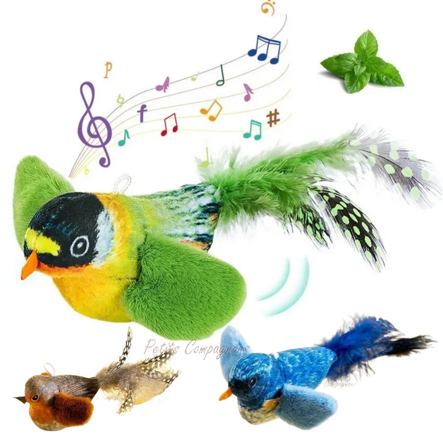 Oiseau à plumes sonore