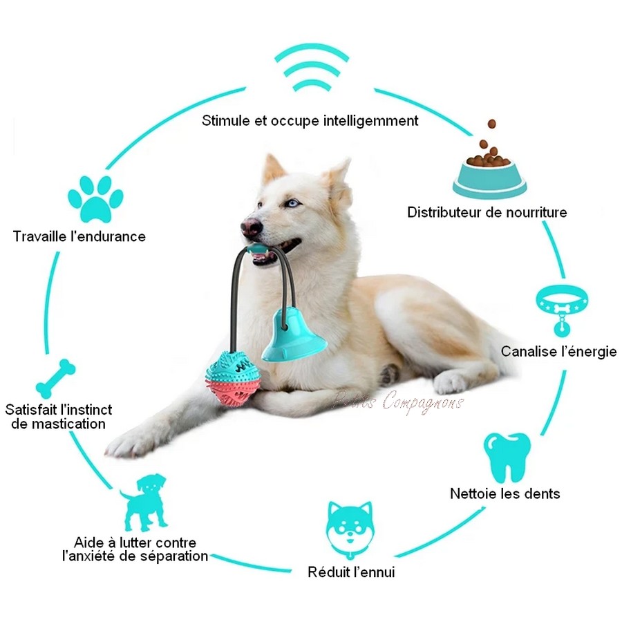 Balle-resistante-avec-ventouse-pour-chien-Jouet-anxiete-separation-chien-Balle-chien-destructeur
