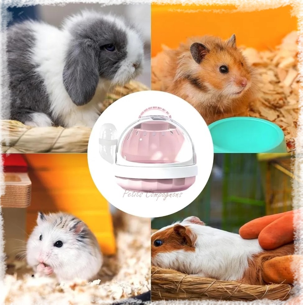 Cage-de-transport-securisee-pour-petit-rongeur-Cage-de-transport-avec-biberon-pour-rongeur-Caisse-de-transport-design-hamster