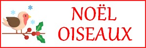 Boutique de Noël pour oiseaux