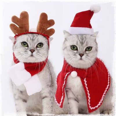 MELLIEX 2 Pièces Costume De Noël Pour Chien Chat, Ensemble De Chapeau