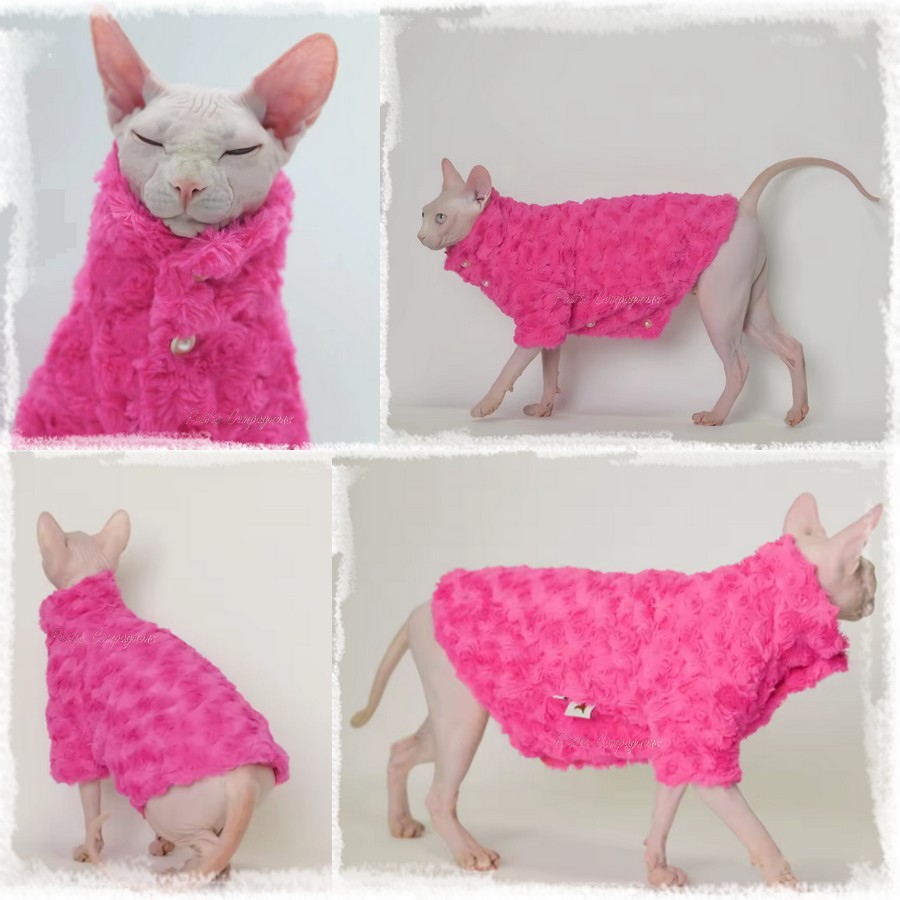 Manteau-luxe-chat-sphinx-Vetement-hiver-chat-sans-poils-Manteau-tendance-devon-rex