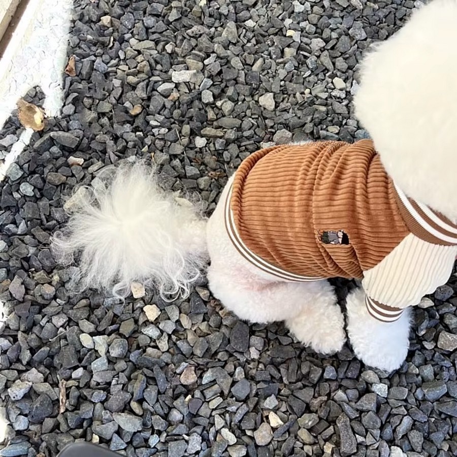 Veste-americaine-baseball-chien-Blouson-americain-pour-chien-chat-Vetement-americain-pour-animaux