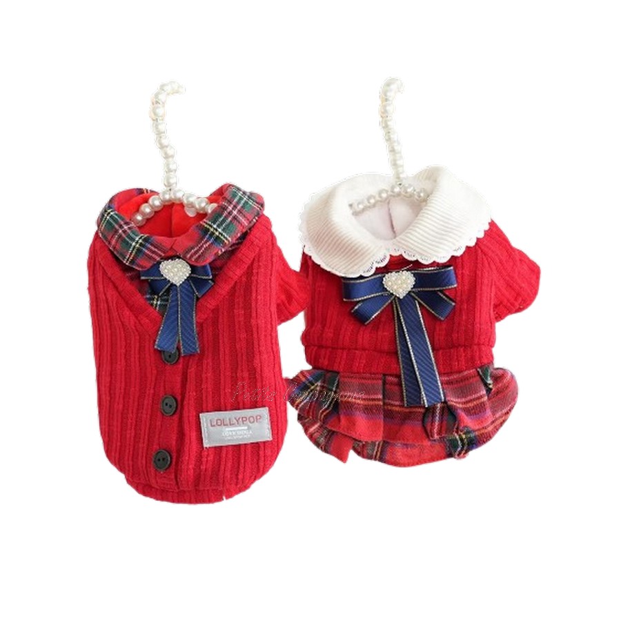 Uniforme de Noël pour chiens et chats Petits Compagnons